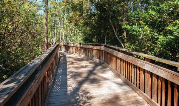 Get active on the many hiking/biking trails