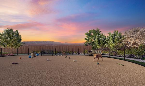Dog park