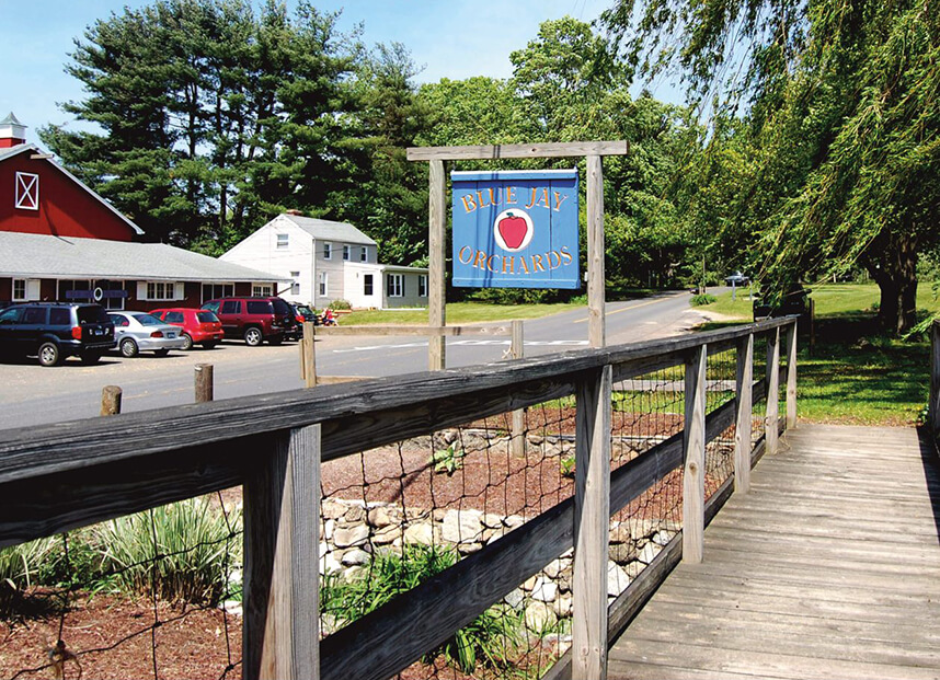 Blue Jay Orchards