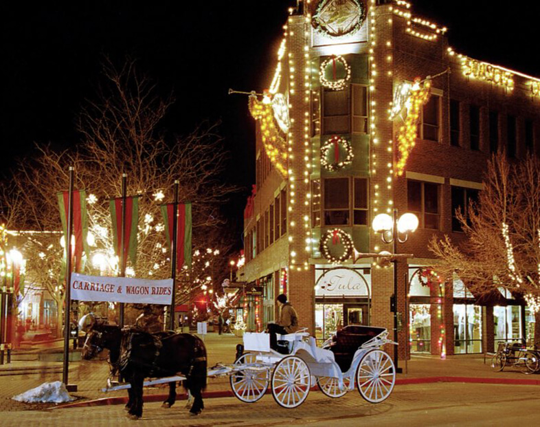 Carriage rides in Fort Collins CO