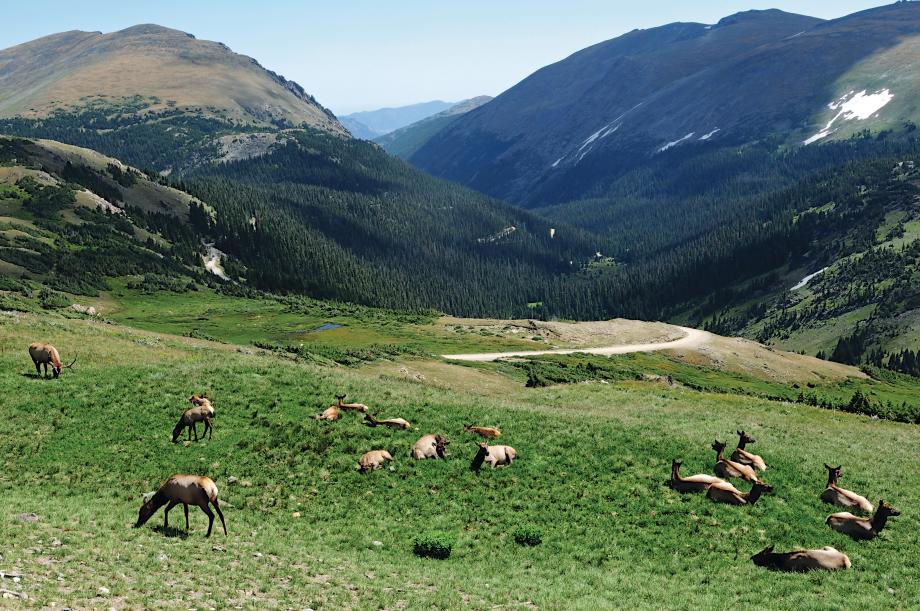 Toll Brothers - Venado Valley