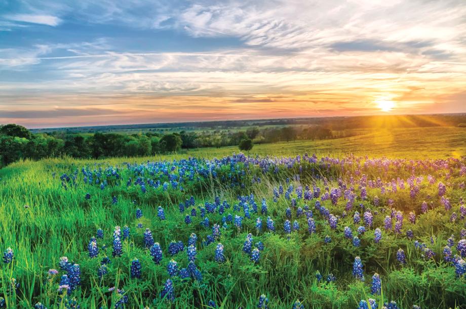 Toll Brothers - The Ranch at Uptown Celina