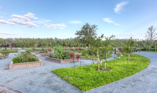 Community Garden