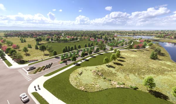 Main entry rendering