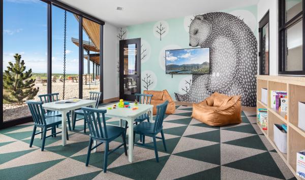 Amenity Kids Playroom