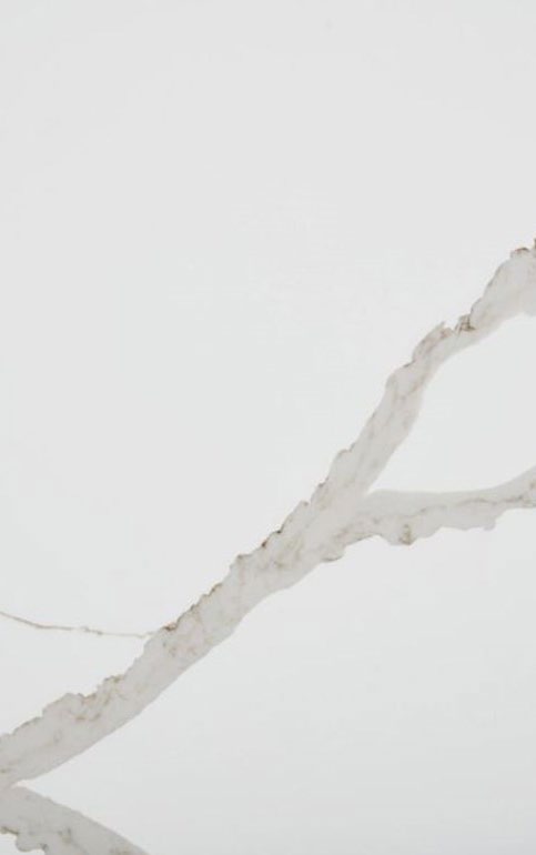 Modern Organic Material 2