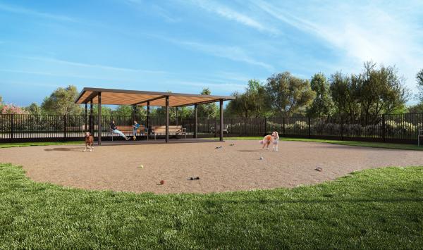 Community dog park