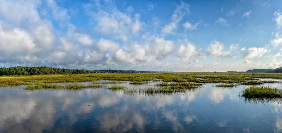 Toll Brothers - Sanderling Bay